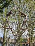 Vreugde 2