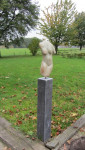 Grote Torso