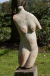 Vrouwen Torso